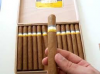 2 cajas de puros-TABACOS CUBANOS COHIBA ESPLENDIDOS 