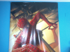 cartel spiderman 2,40cm x 1,50cm