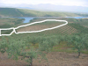 finca 1000 olivos en la provincia de caceres