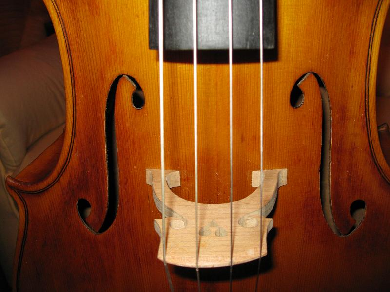 violonchelo carlo bergonzi