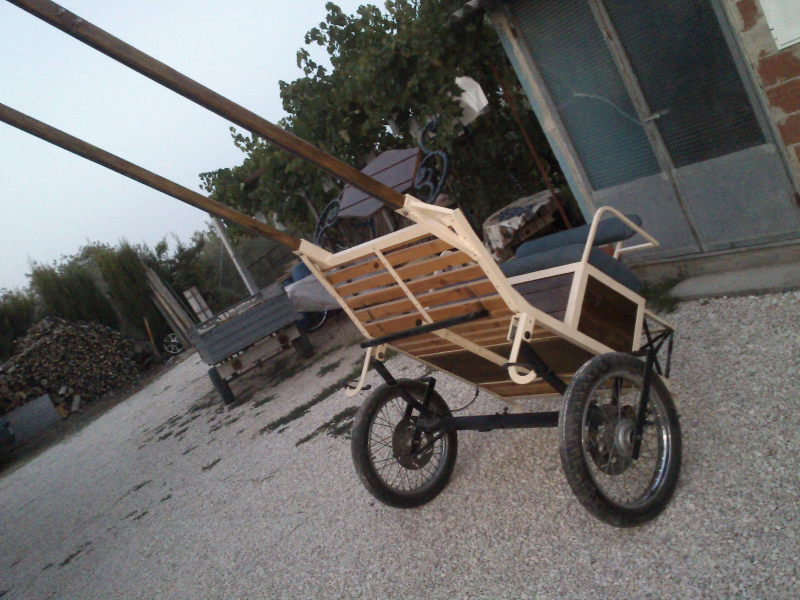 carro de caballo