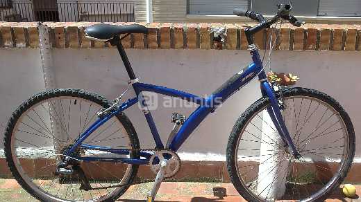 Bicicleta paseo