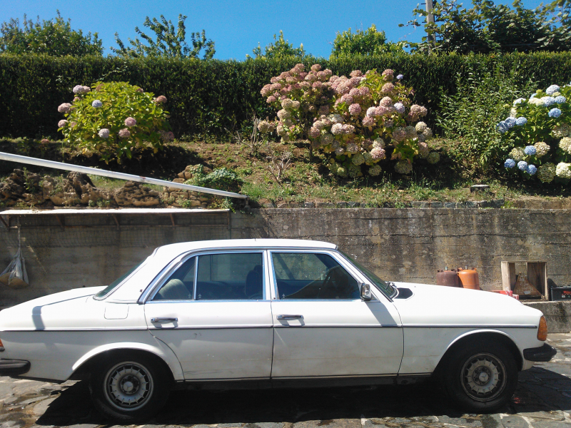 mercedes 300 D