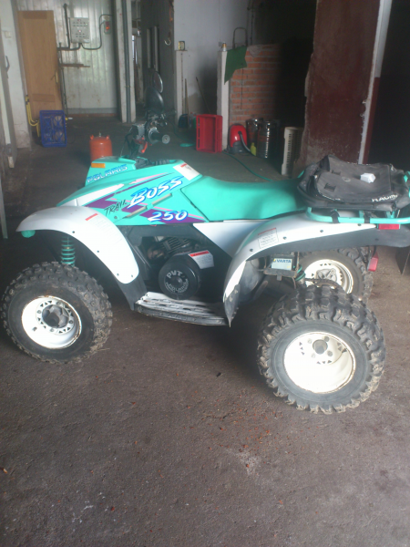 quad polaris 250