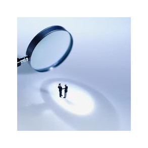 DETECTIVES PRIVADOS HABILITADOS