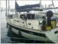 barco velero