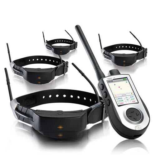 SportDog Tek 1.0 versión europea