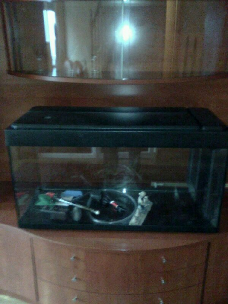 Acuario de 200 litros
