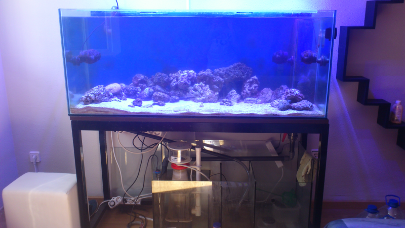 acuario marino de 450 litros