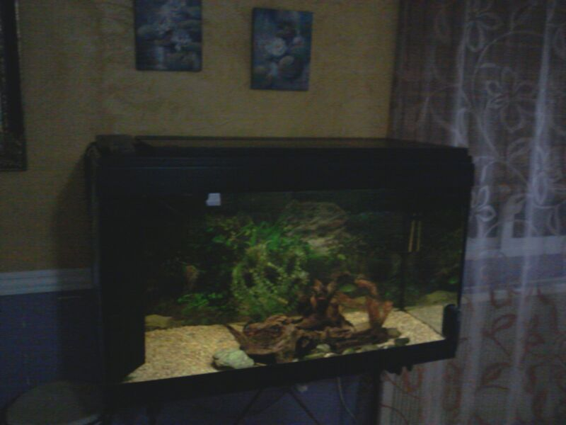 ACUARIO DE 200L