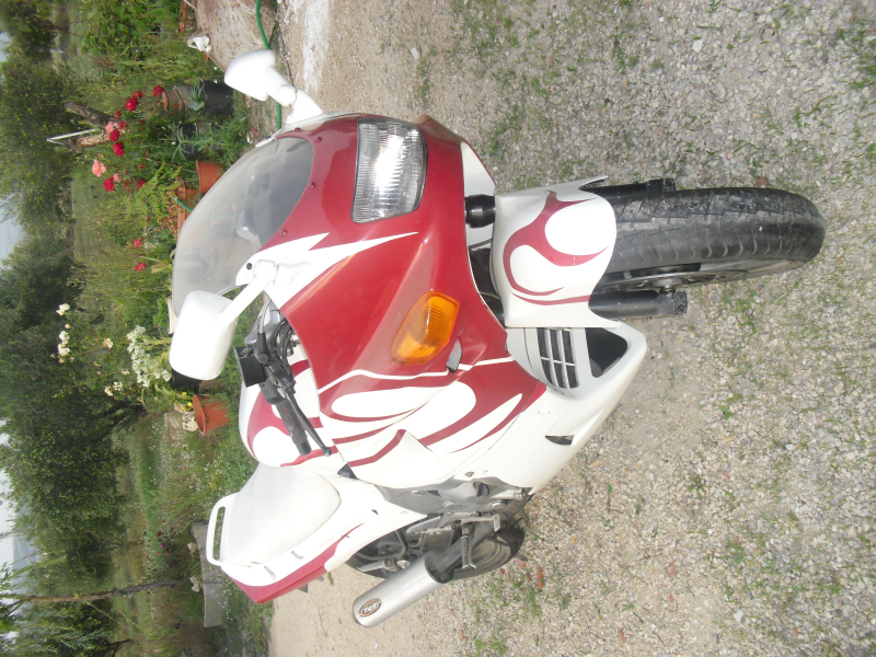 moto zzr600