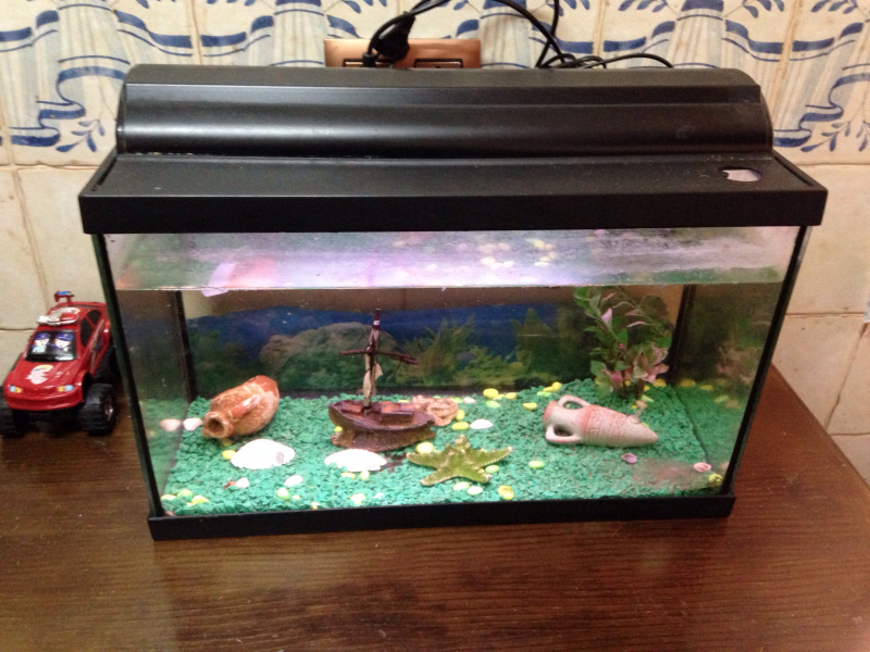 Pescera 25l