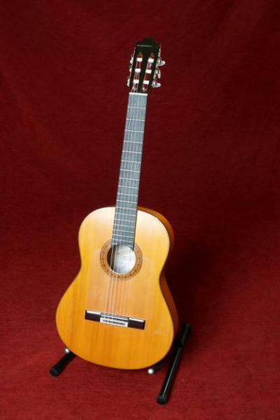Clases de guitarra y Música
