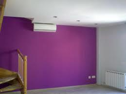 Pintor profesional