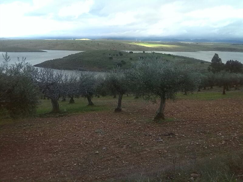 Terreno a cambio de vehículo.