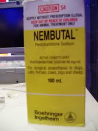 puro sodio Nembutal / pentobarbital 99.98%