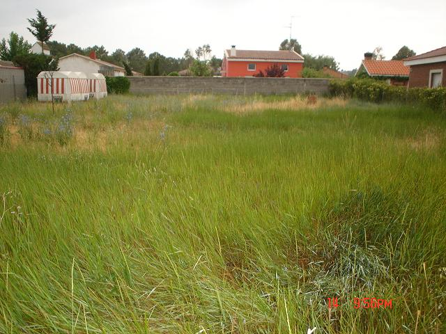 PARCELA URBANA 1000 m2