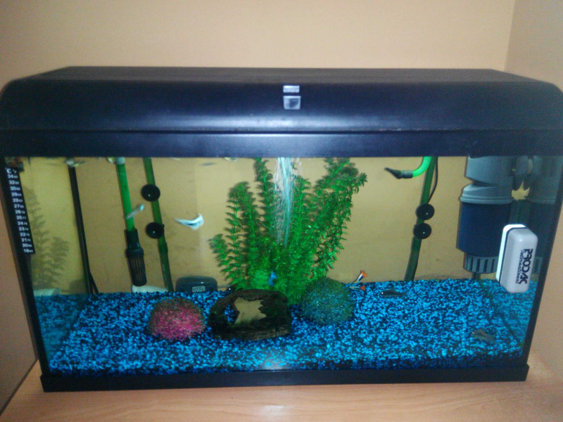 acuario 120L