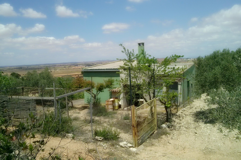 finca en requena