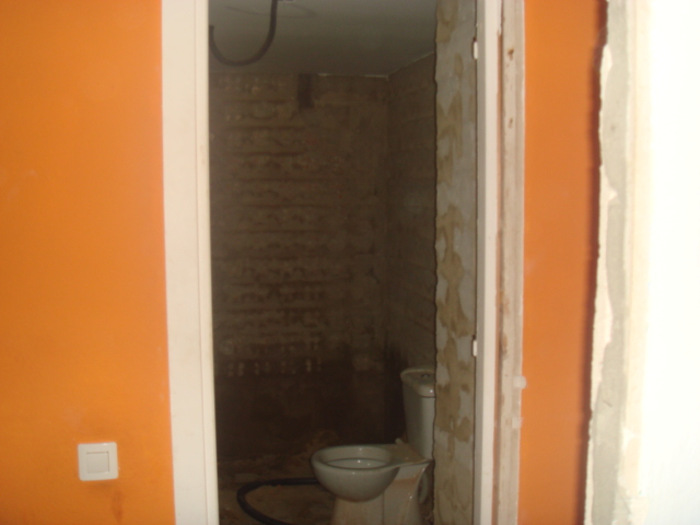 MONO DE OBRA DE ALBAÑILERIA ,FONTANERIA Y PINTURAS