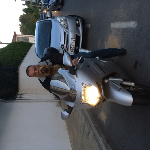 Cbr 1100 xx 
