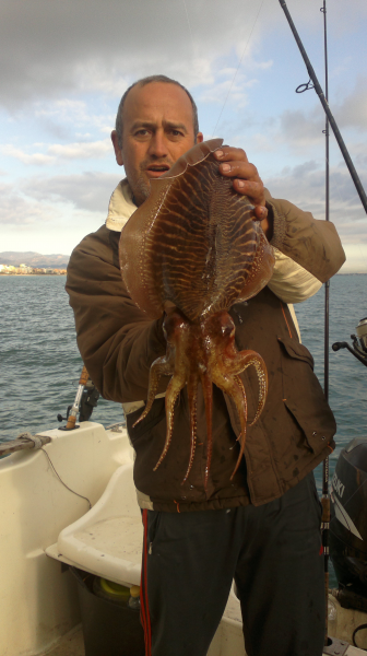 salidas de pesca en barco salidas de pesca en barco