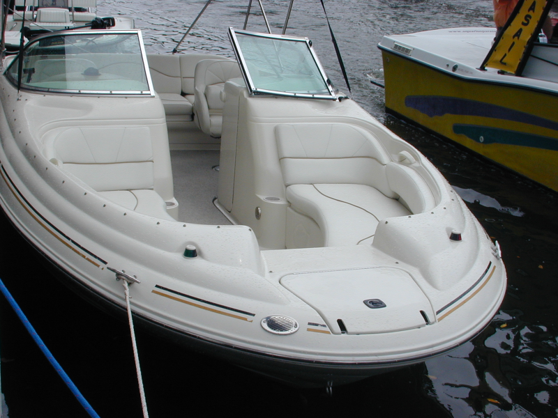 BARCO SEA RAY 210 SUNDECK POR PORSCHE