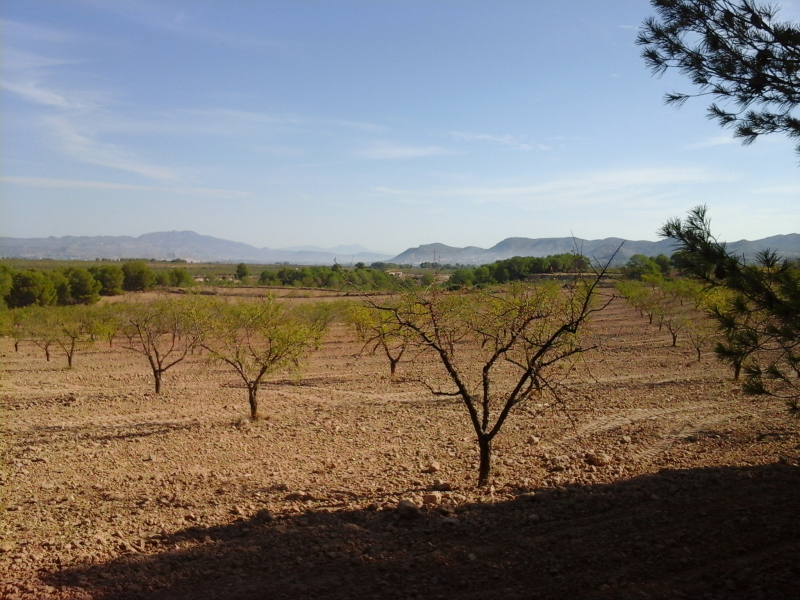 finca rustica