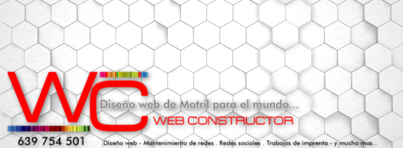 Diseño de sitio web valorado en 500,00