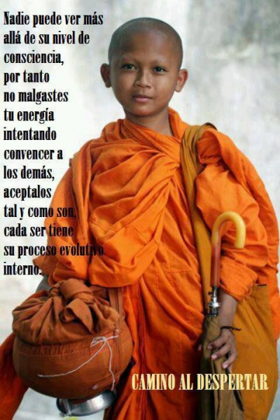 Tarot De La Evolución (Destinados)