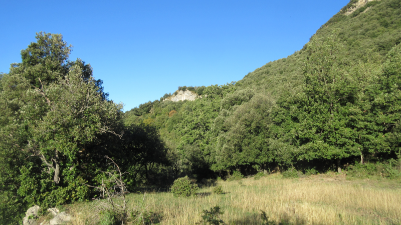 FINCA RUSTICA