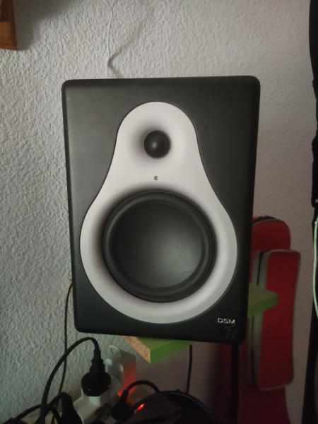 Altavoces de estudio M-Audio DSM1 (3000)