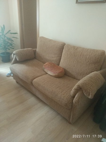 Buen sofá cama de dos plazas