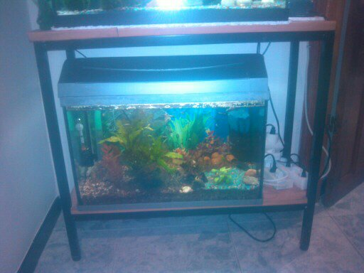acuario