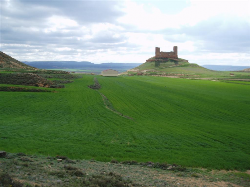 FINCA EN LA PROVINCIA DE SORIA