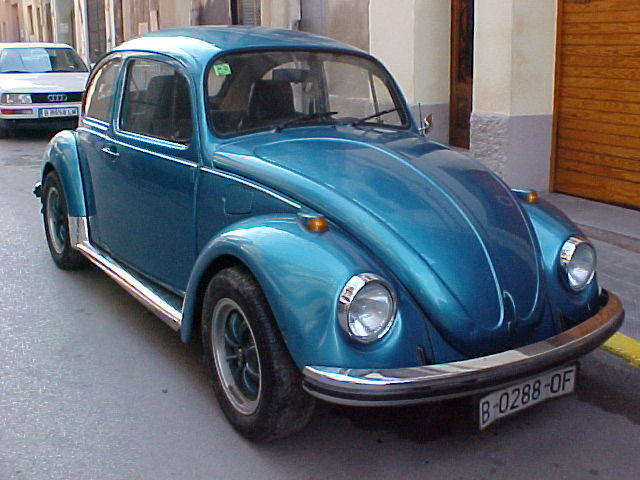 escarabajo 