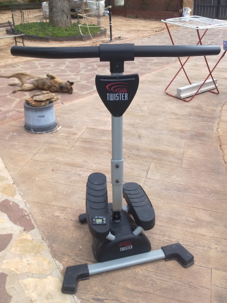 cardio twister