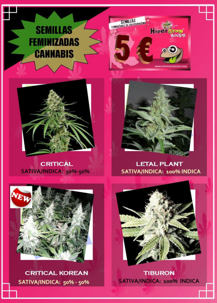 Semillas de marihuana feminizadas