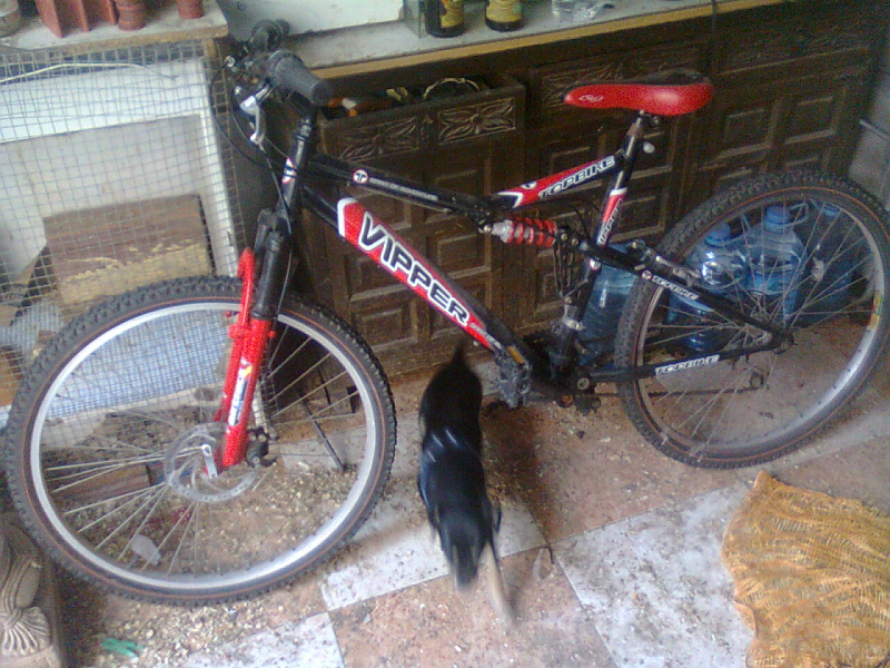 bici escuxo tratos