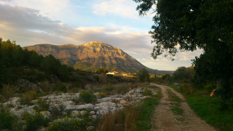Terreno agricola