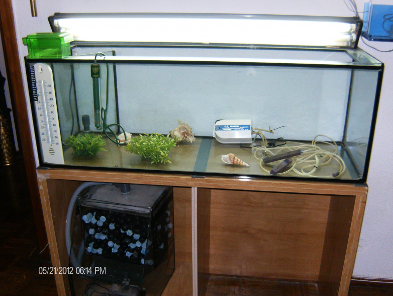 Acuario