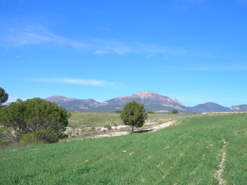 Finca