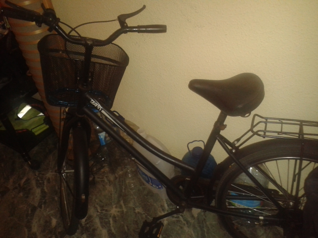 Bicicleta de paseo