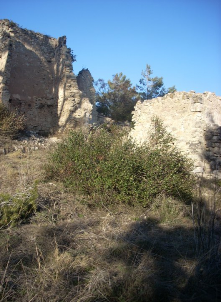 Cambio finca cerca de Valls por algo en Aragón