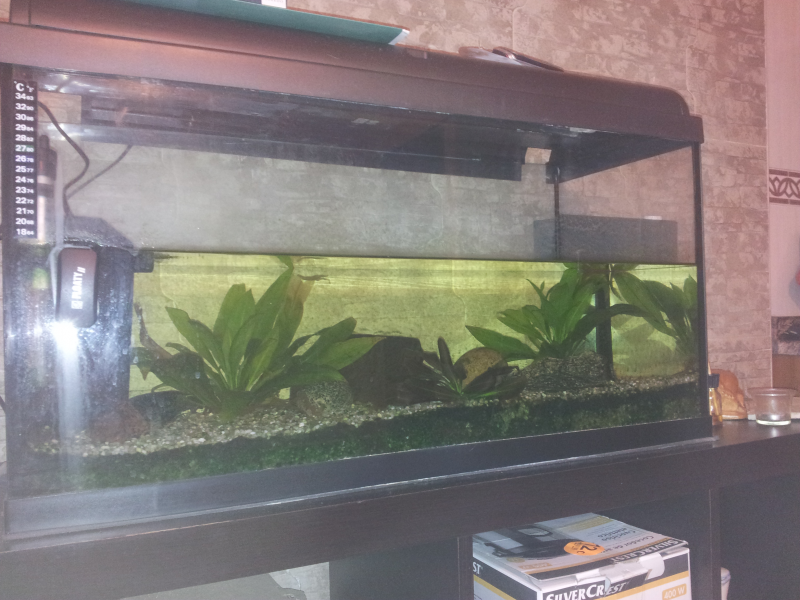 acuario