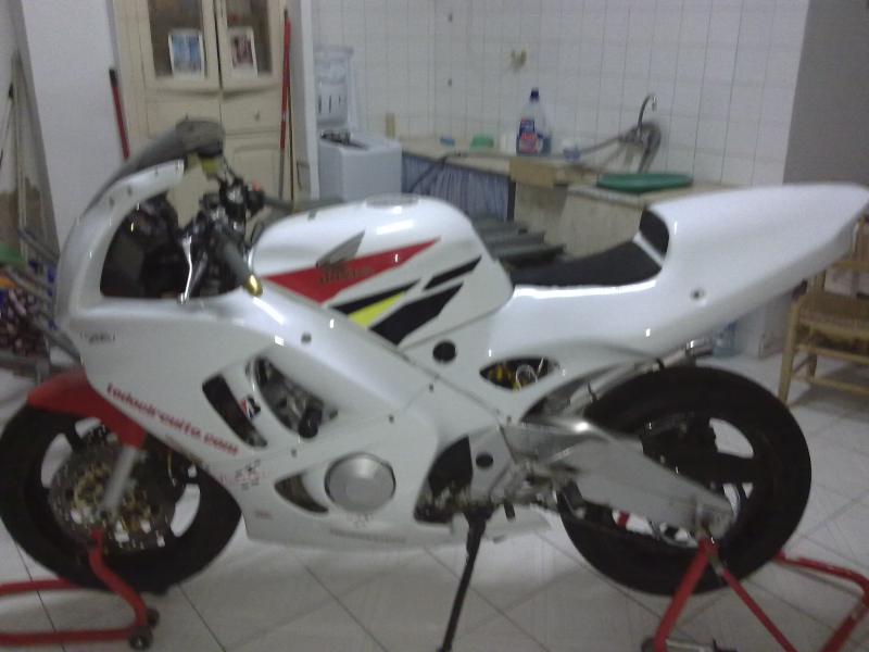 cbr600 circuito