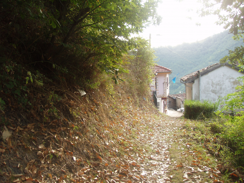 finca rustica