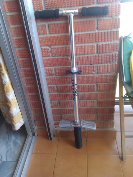 Pogo Saltarin