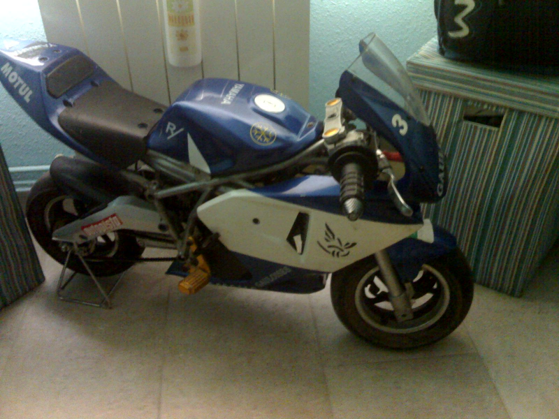 Replica polini GP3 Reverse