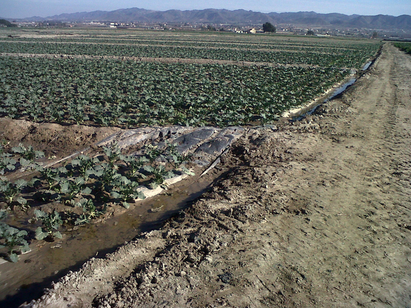 FINCAS EN PURIAS LORCA 20.000 M.